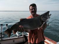 Huge Lake trout