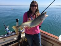 2016 open water salmon and trout 