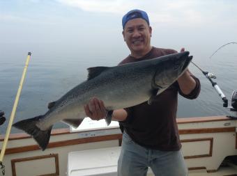 Big King (Chinook) salmon in niagara 